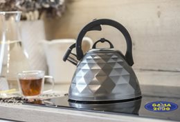 Czajnik ROSA Berretti grafit 3 L