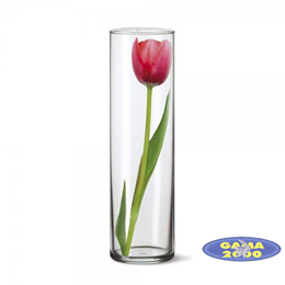 Wazon szklany 8 x 28 cm 